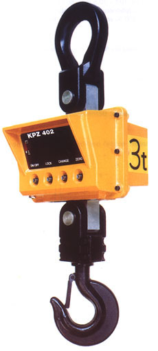 Balance électronique de grue à partir de 300 kg